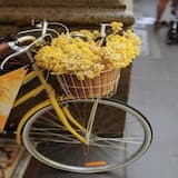 Hoozambe D Star Music Trio Mio Harry Craze Ssaru Mudra D Viral Ambassada