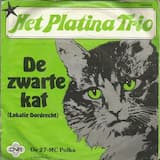 De zwarte kat