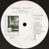 Falling Down (House of 909 mix)