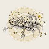 Everything But Lightning