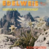 Edelweis
