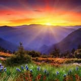 Acoustic Guitar Background Music Short A