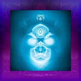 Shamanic Tea (Ajja remix)