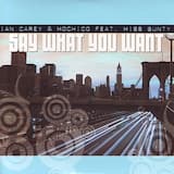 Say What You Want (Vocal Mix)