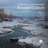 Concerto for Alto Saxophone and String Orchestra in E-flat, op. 109: Andante