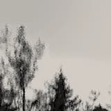 Flowing Backward or Away