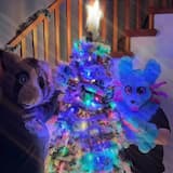 JINGLE PHONK (Sped Up)