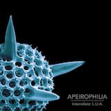 Complexity - NonLocality