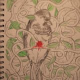 (whilst my son) TENDS THE GARDEN