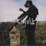 Wind in the Wires (radio edit)