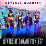 String Quartet No. 2, JW VII/13 "Listy důvěrné": I. Andante