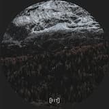 Fallen Expectations I