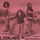 Sidina, live at Trans Musicales of Rennes