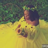 Hidden in Plain Sight (intro)