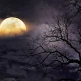 Kentucky Marsh At Dusk