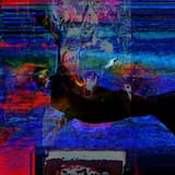 Holy Pill(I'm Withering, Thank God.)