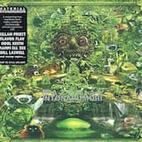 Who Wakes the Rooster?