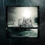 Drug(Not My)Dependence