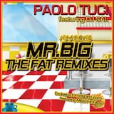 Mr. Big (DJ Sal K.f.c. Remix)