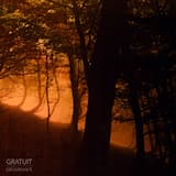 Mes lumieres, mes veines