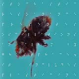 Beatless Oscillators