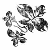 Zerbait Asmatuko Dugu