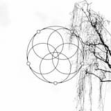 Don't Want to Know If You Are Lonely