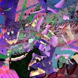 Where Imma Put My Fish