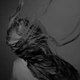 I've Been Inside the Sun