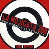 Una murga es casi un…