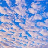 What a Way to Go Airborn!