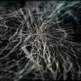 The Hollow Ground / Of Calm Dreams / Where Metals Hum