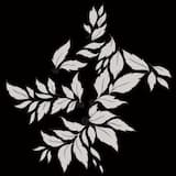 Suspensa ex lunae in nubis lucem