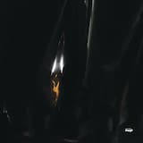 Liminal States (excerpt)