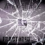 The End II (semi acoustic)