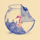 The Things I've Left Unsaid