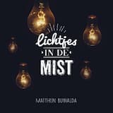 Lichtjes in de mist