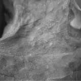 late in summer part 1