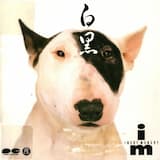 それでも横浜ナンバー～わが愛しきフォルクスワーゲン～