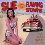 Drivin On The Highway Of Love