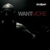 Rooks Ravens Magpies Crows