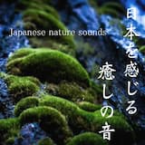 田舎の夏の夜雨