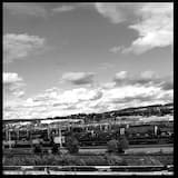 Whiskey + Freight Trains