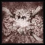 Five Candles Burning Red