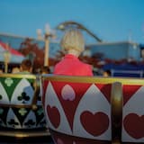 Under the Loquat Tree