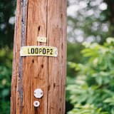 The Trip Starts Here