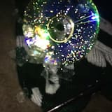 A Stupid Word Like "Forever"