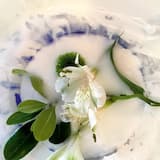 Upon the Smallish Circulation