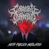 Meth Fueled Mutilation