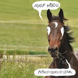 Princess Barely Legal I